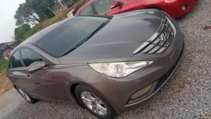 Hyundai Sonata 2010 Gray