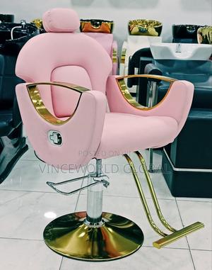 Pink Unisex Salon Chair