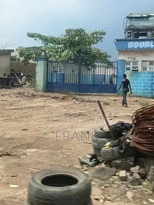 Bua , Lafarge Dangote Cement and Others