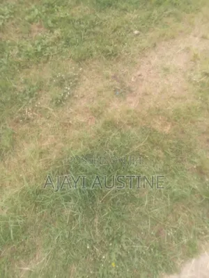 One Plot of Land at Igusin After Imafon for Sale