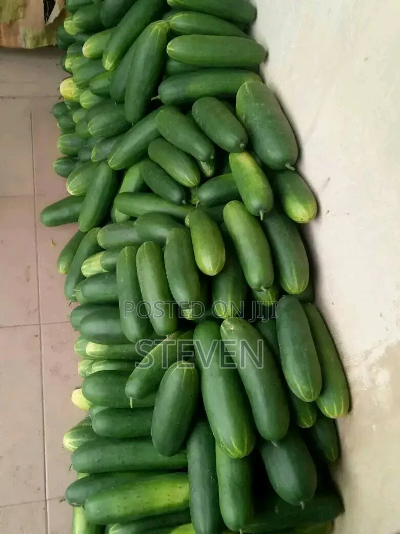 Food Stuff