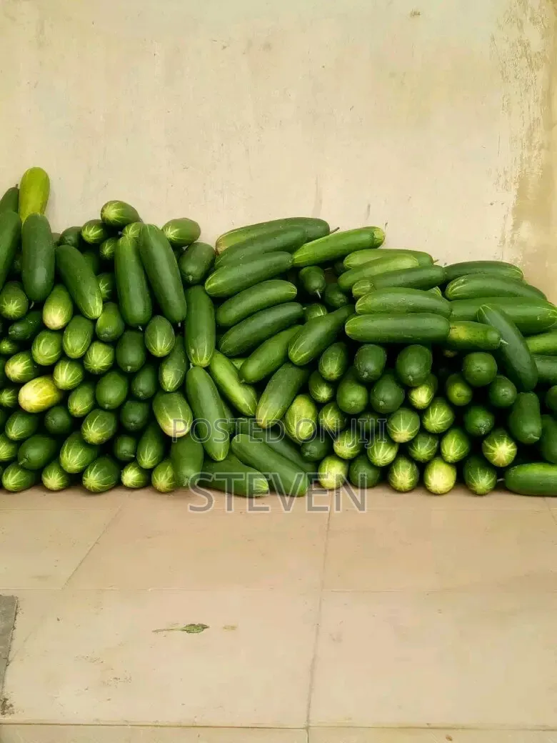 Food Stuff