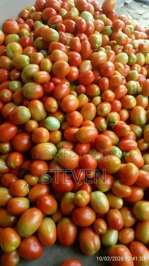 Food Stuff