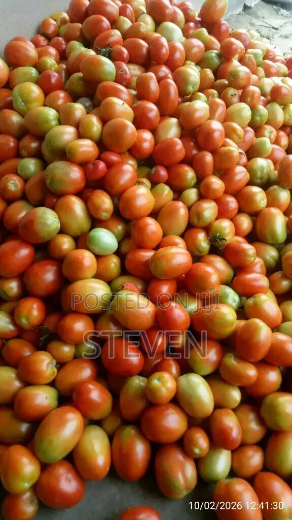 Food Stuff