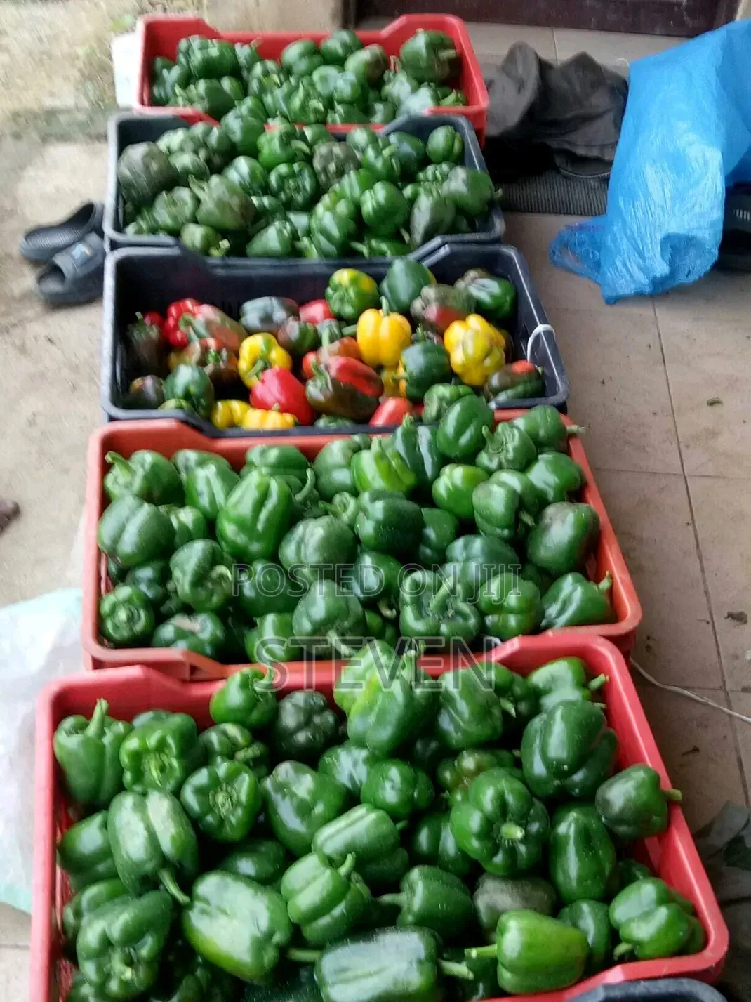 Food Stuff