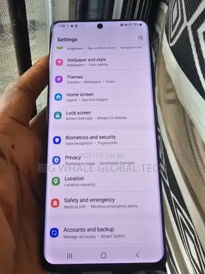 Samsung S21 Ultra Screen With Frame.