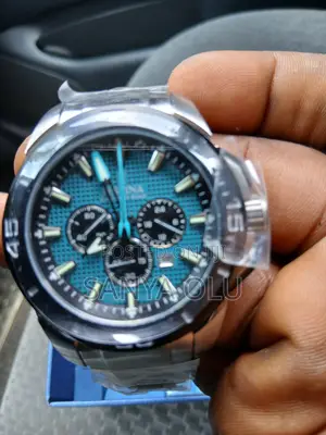 Festina Wrist Watch