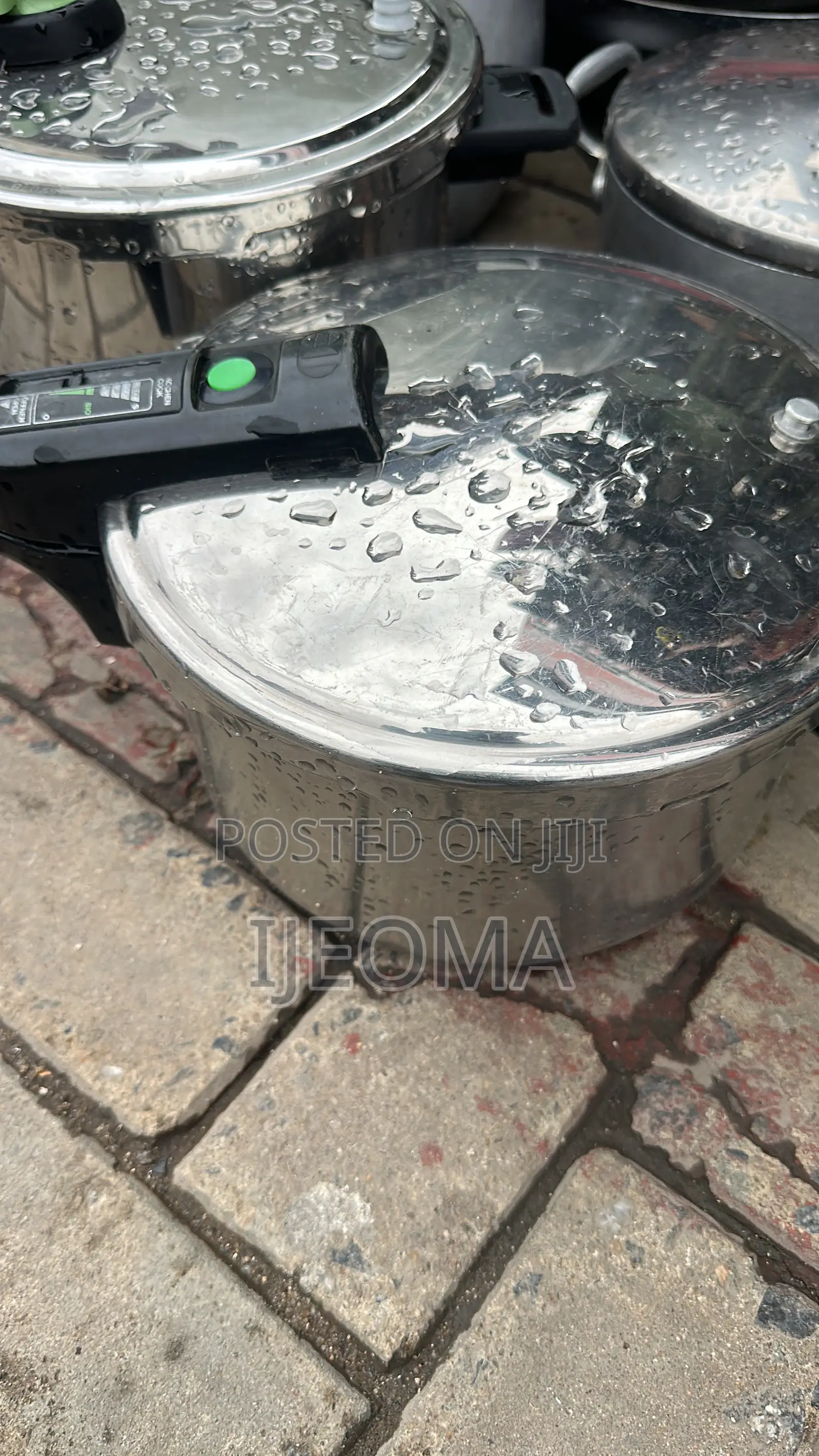 Multi Purpose Electric Pressure Cooker
