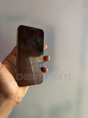 Apple iPhone 12 Pro 256 GB Gold