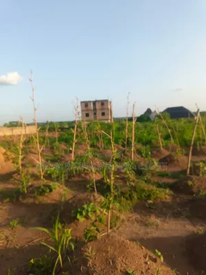 A Plot of Land for Sale