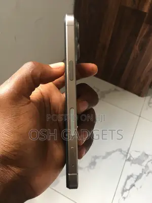 Apple iPhone 15 Pro Max 256 GB Black