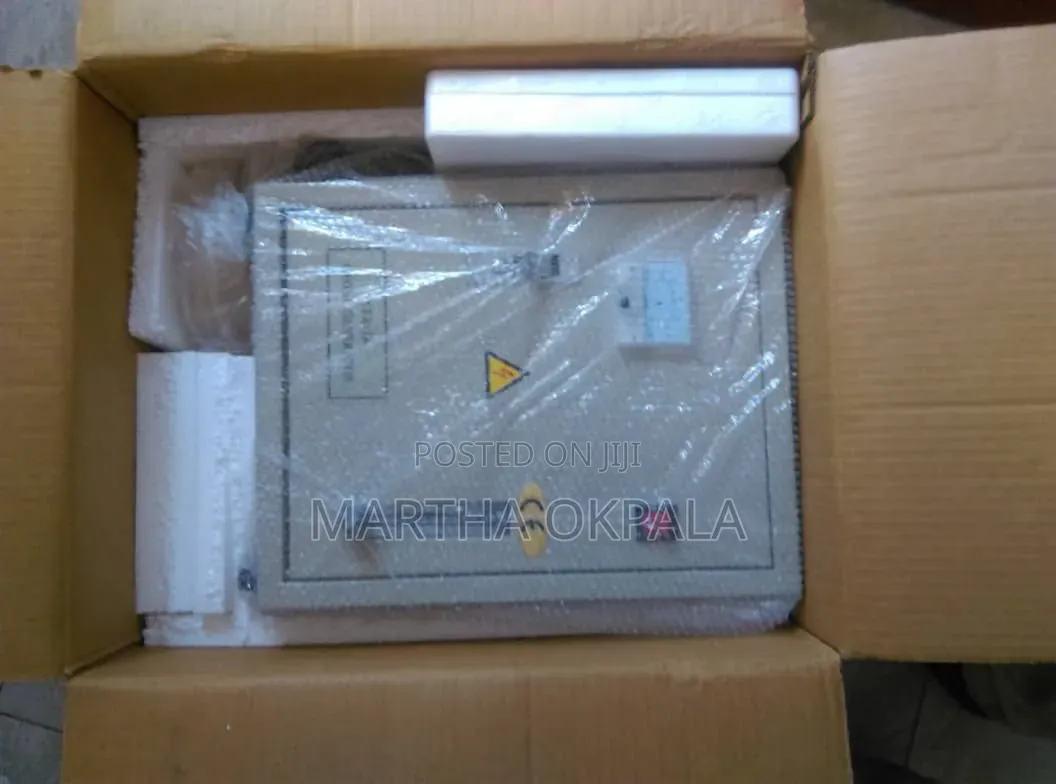 Dingli 3gram Ozonator