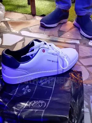Catoon Shoe