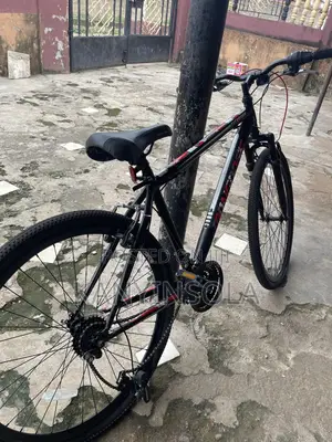 Mongoose Excursion Bicycle