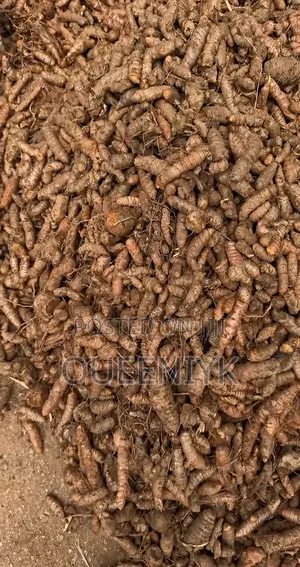 Tumeric (Fresh)