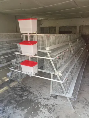 Imported Cage