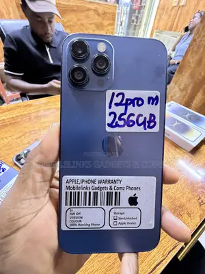 Apple iPhone 12 Pro Max 256 GB Blue