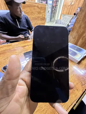 Apple iPhone 12 Pro Max 256 GB Blue