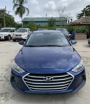 Hyundai Elantra 2017 Blue