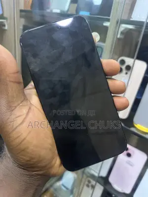 Apple iPhone 16 Pro Max 256 GB Black