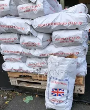 300kg Pp Woven Industrial Heavy Sack Bag