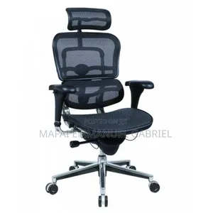 Orthopedic Ergo Human Chair