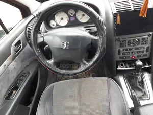 Peugeot 407 2004 Gray