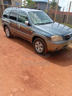 Mazda Tribute 2005 Gray