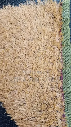 Artificial Grass Carpet.25mm Available in Different Sizes and Colour