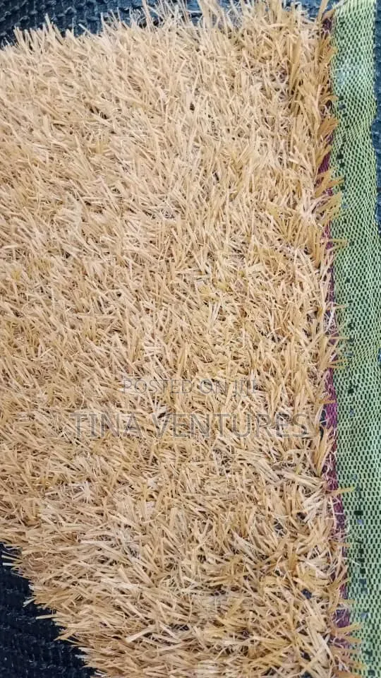 Artificial Grass Carpet.25mm Available in Different Sizes and Colour