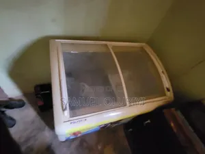 Polystar Showcase Chest Deep Freezer