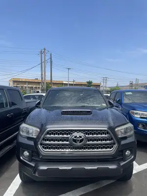 Toyota Tacoma 2017 Gray