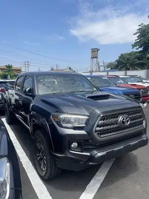 Toyota Tacoma 2017 Gray
