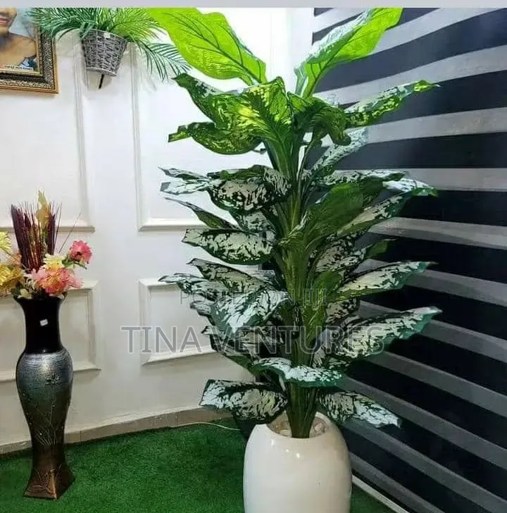Artificial Grass Carpet. Available in Bulk. Different Sizes and Colour