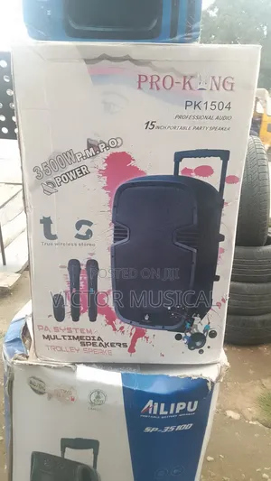 15inch Proking Pa System