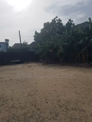 Half Plot of Land Measuring 300sqm Dry Land Up for Sale