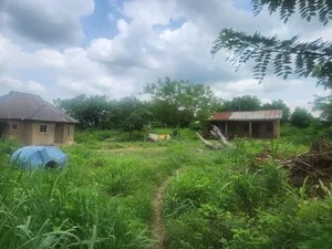 17 Plots of Land at Coca-Cola Bus Stop,Adeyemi Street,Asejire Area