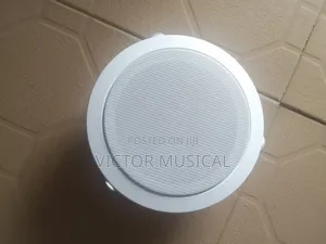 Ceiling Speaker