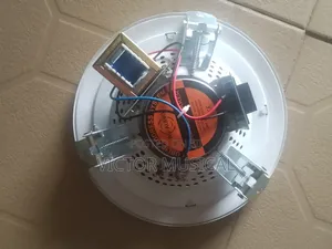 Ceiling Speaker