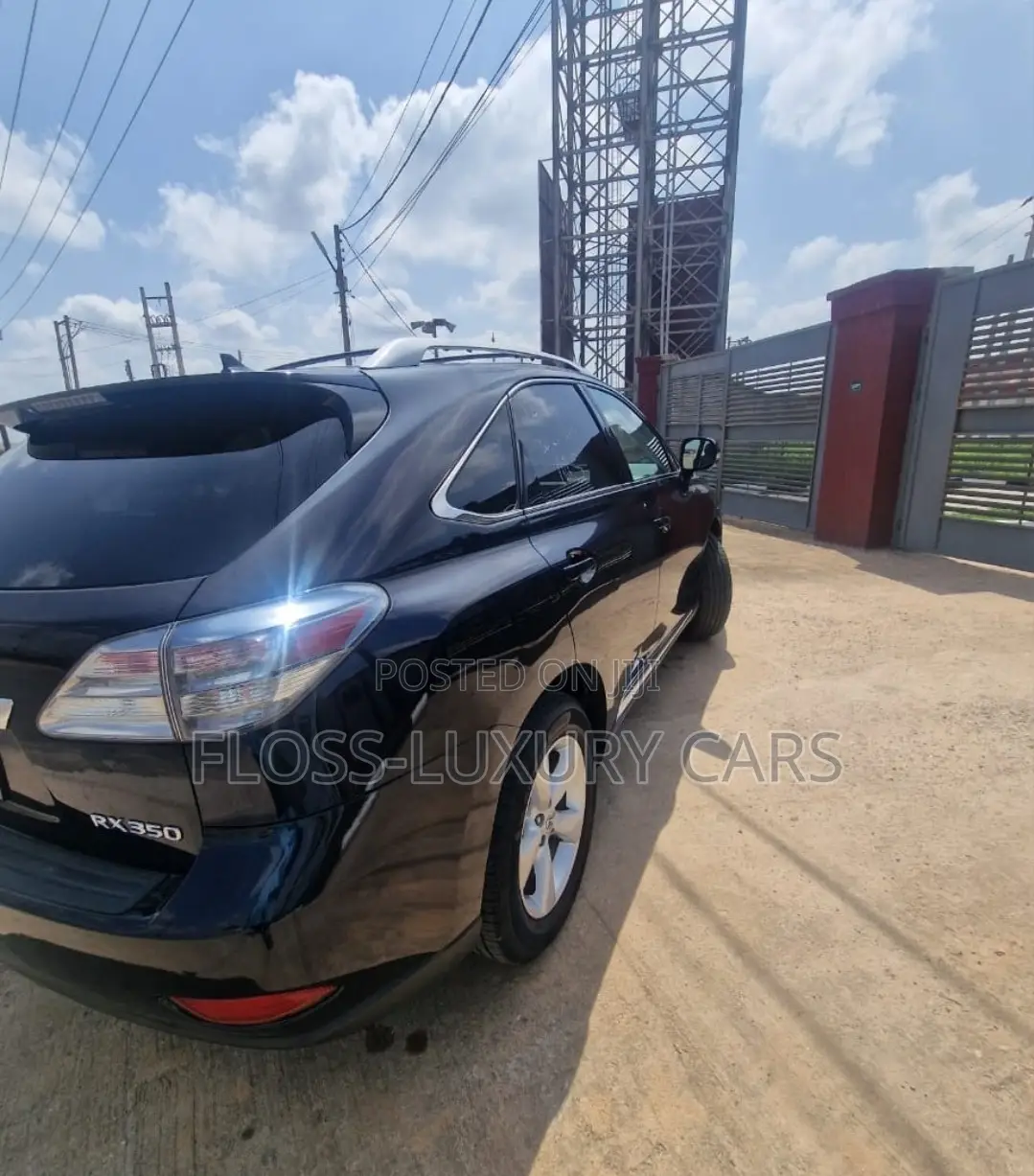 Lexus RX 2010 Blue