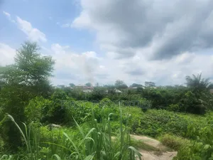Standard Plot of Land at Develop Environment