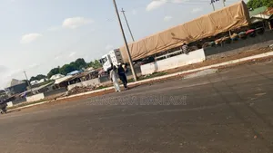 Dangote and Bua Cement Distributor