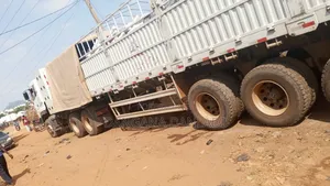 Dangote and Bua Cement Distributor