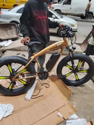 Electric Bicycle