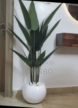 Decorative Flower Pot and Plants