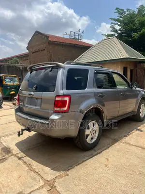 Ford Escape 2010 Gray