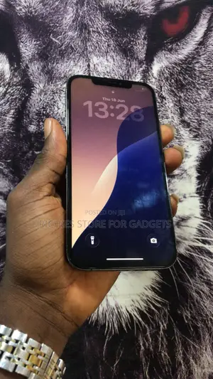 Apple iPhone 12 Pro Max 128 GB Gray