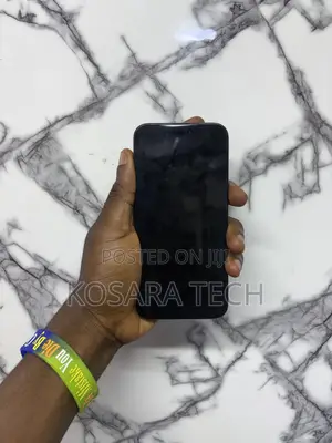 Apple iPhone 15 Pro Max 256 GB Black