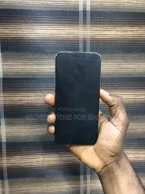 Apple iPhone 15 Pro Max 256 GB Gray
