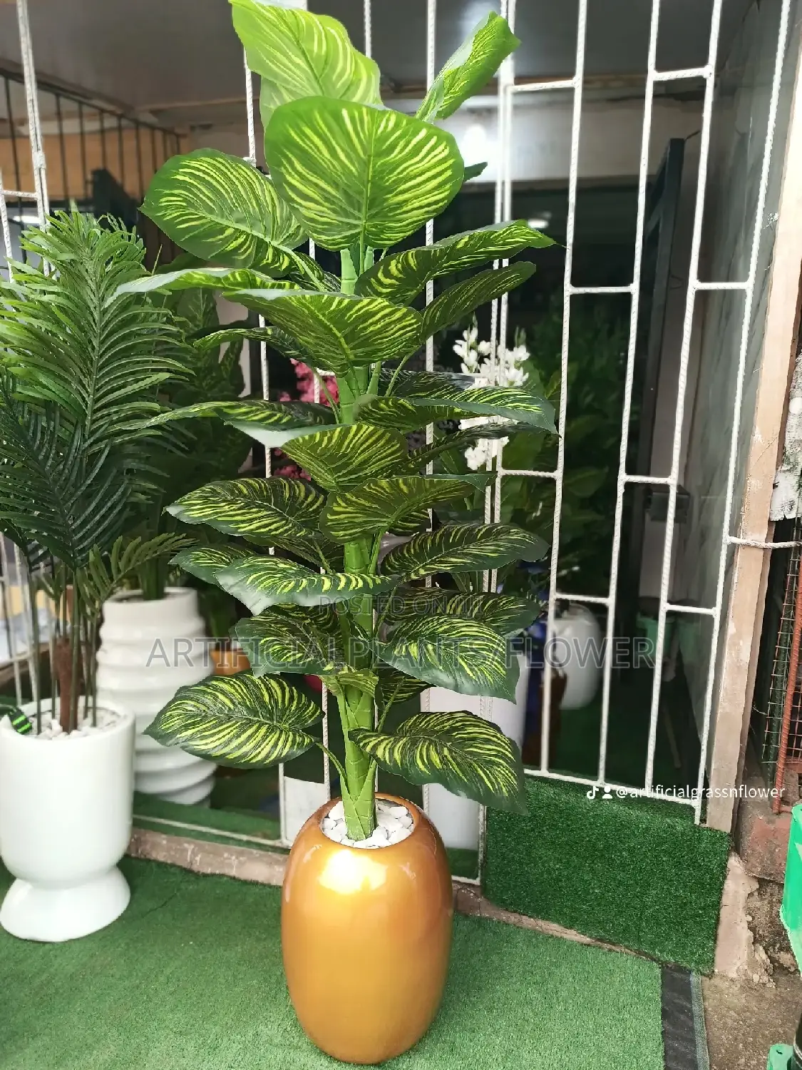 Potted Plant and Pot